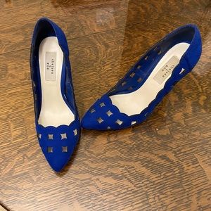 Royal Blue Pointy Toe Suede Chelsea & Zoe Pumps Heels